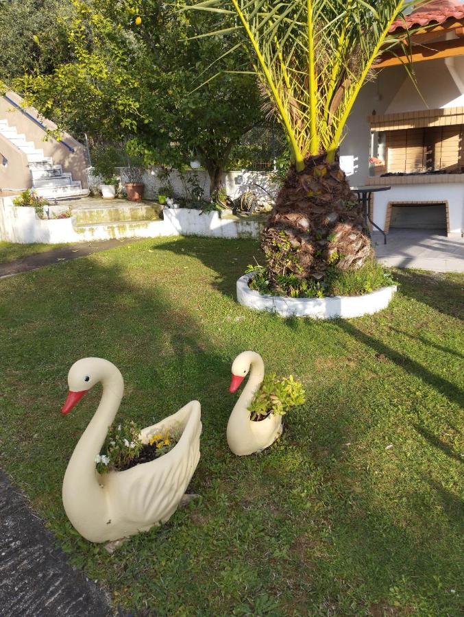 Mιχαλης Apartments Парамития Екстериор снимка